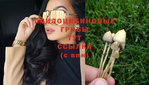 мяу мяу мука Волоколамск