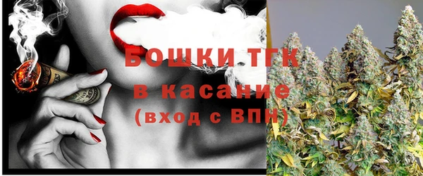 тгк Володарск
