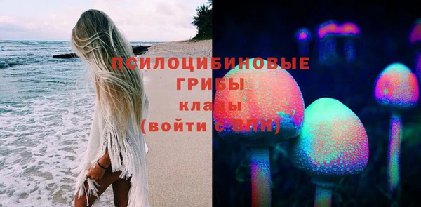 тгк Володарск
