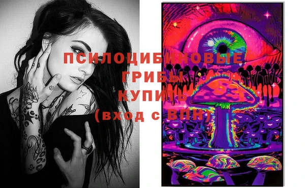 тгк Володарск