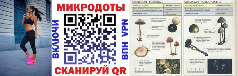 Галлюциногенные грибы ЛСД  купить наркотики сайты  ОМГ ОМГ сайт  Норильск 